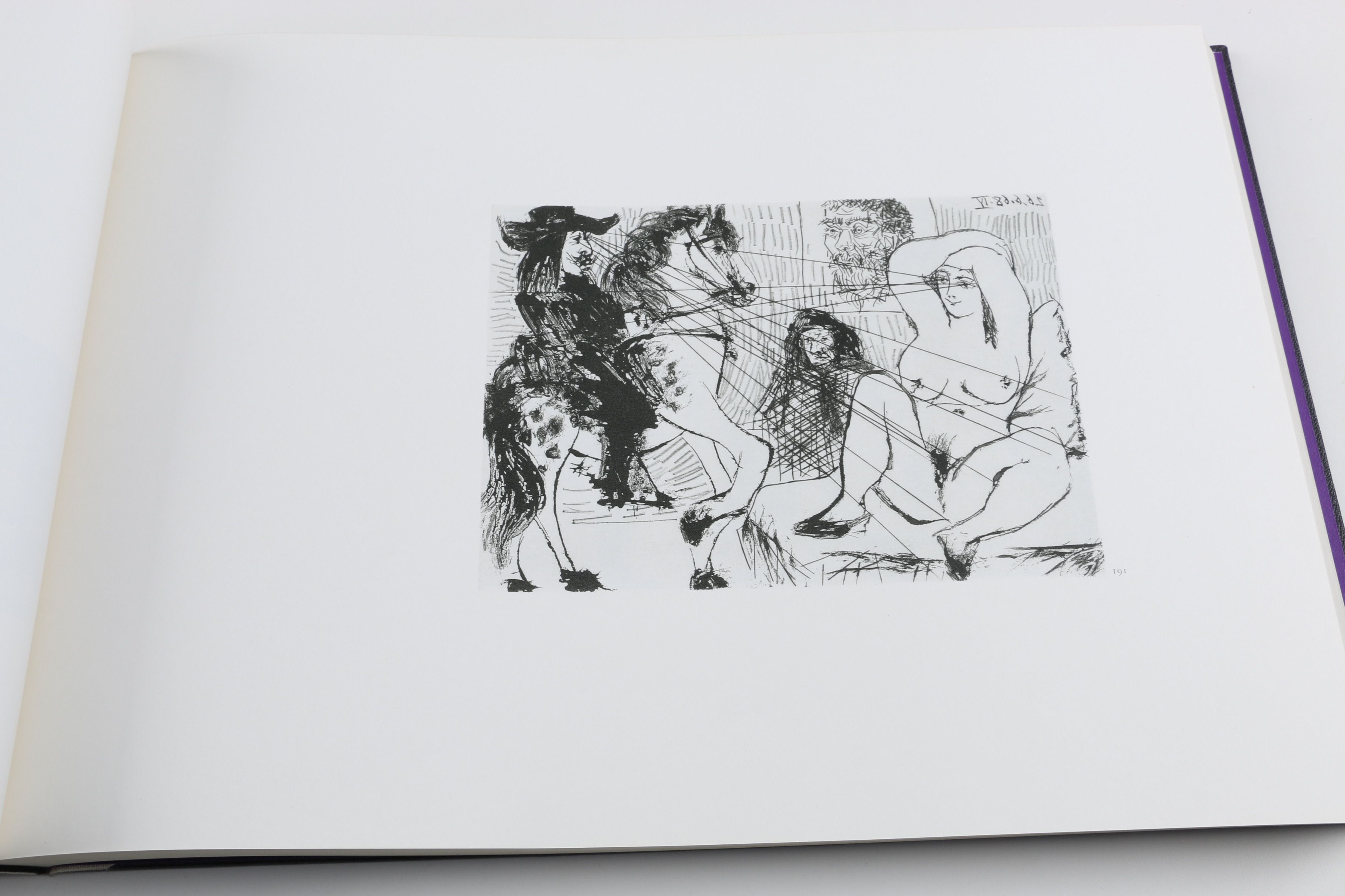 Collector's Rare Complete First Edition "Picasso 347" Volumes