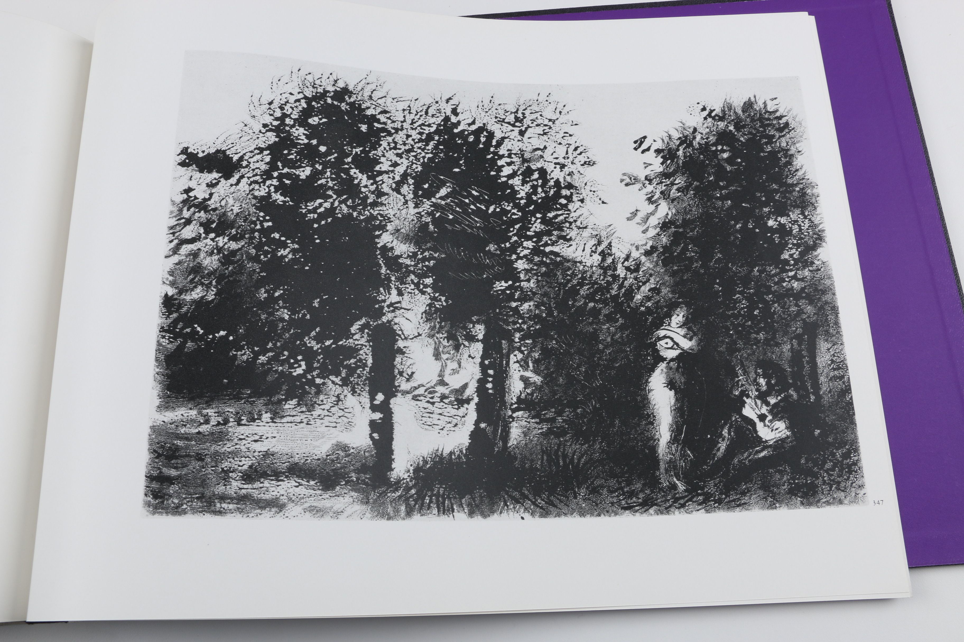 Collector's Rare Complete First Edition "Picasso 347" Volumes