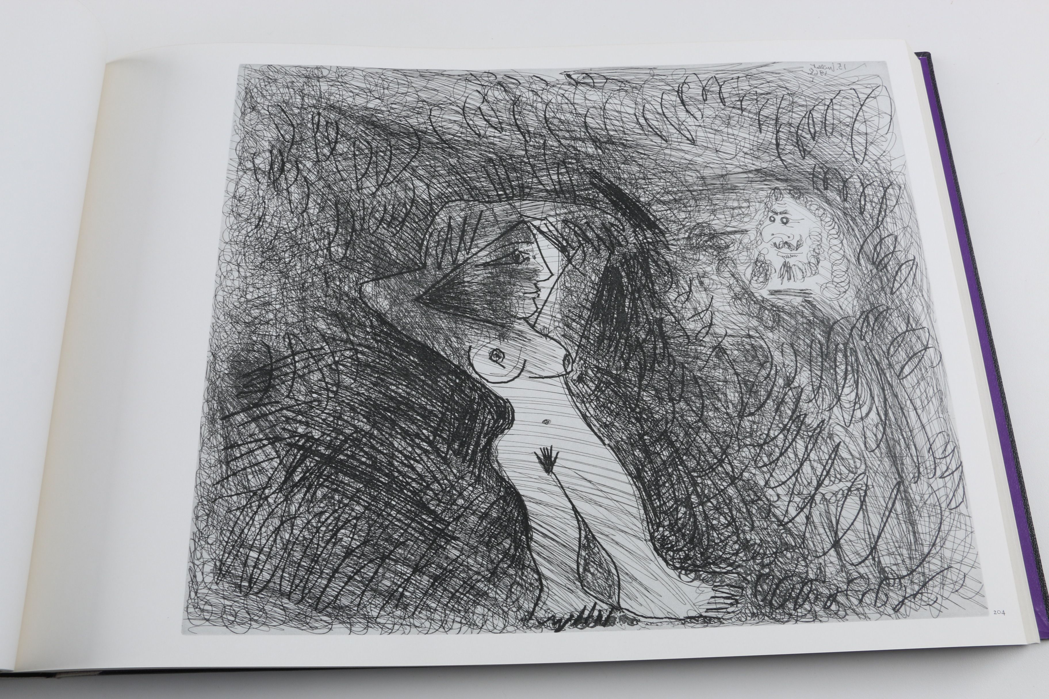 Collector's Rare Complete First Edition "Picasso 347" Volumes