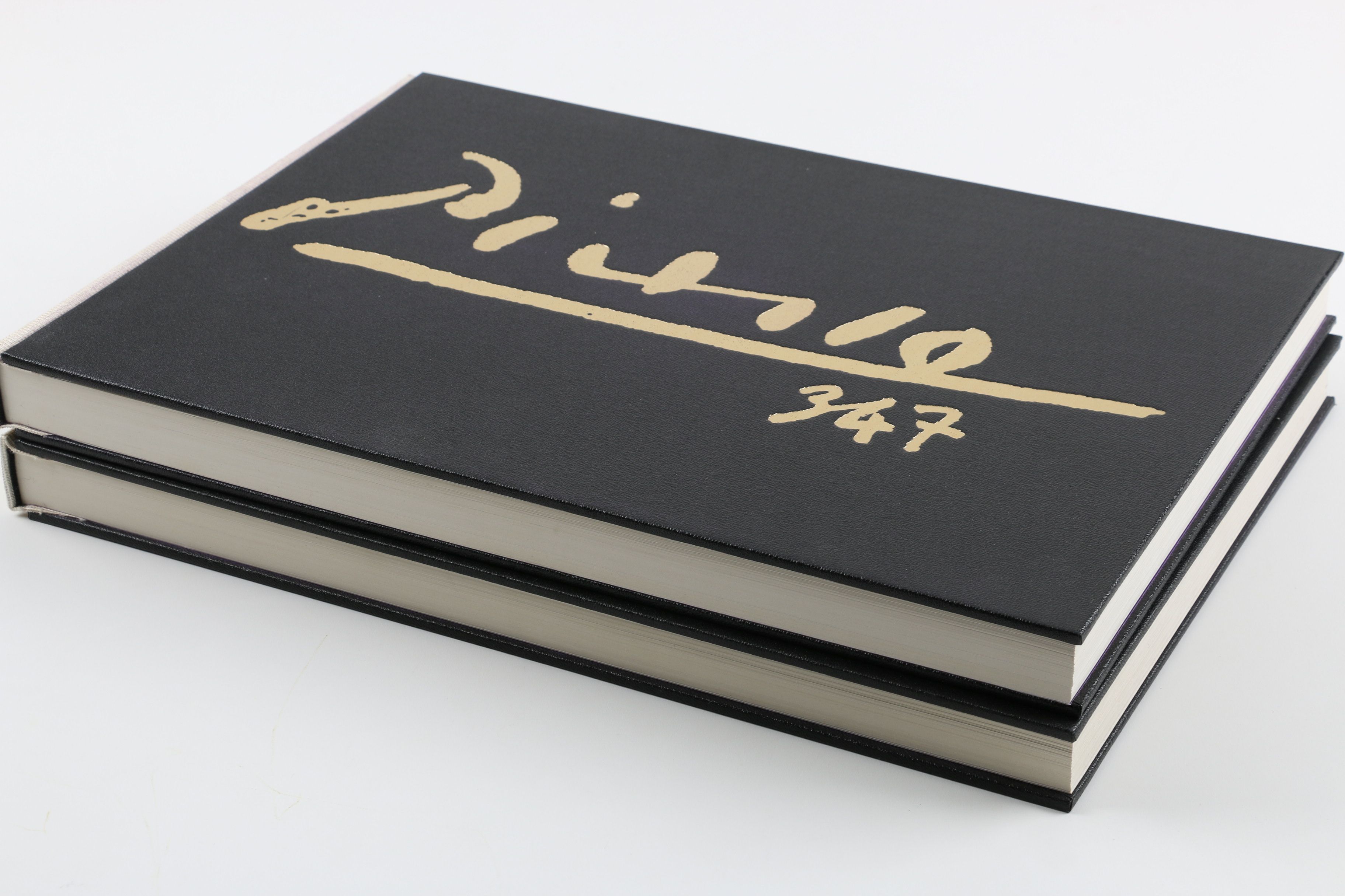 Collector's Rare Complete First Edition "Picasso 347" Volumes