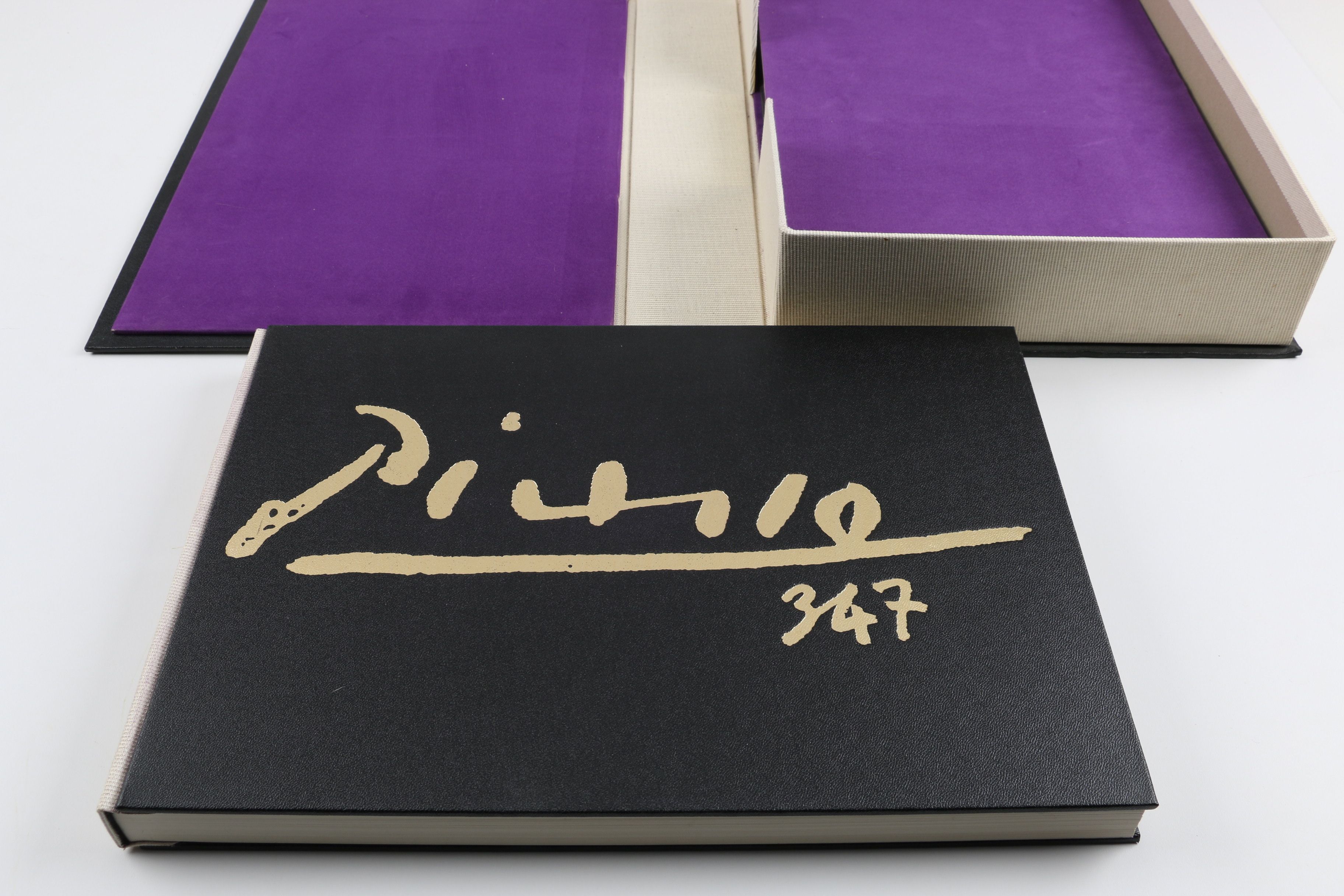 Collector's Rare Complete First Edition "Picasso 347" Volumes