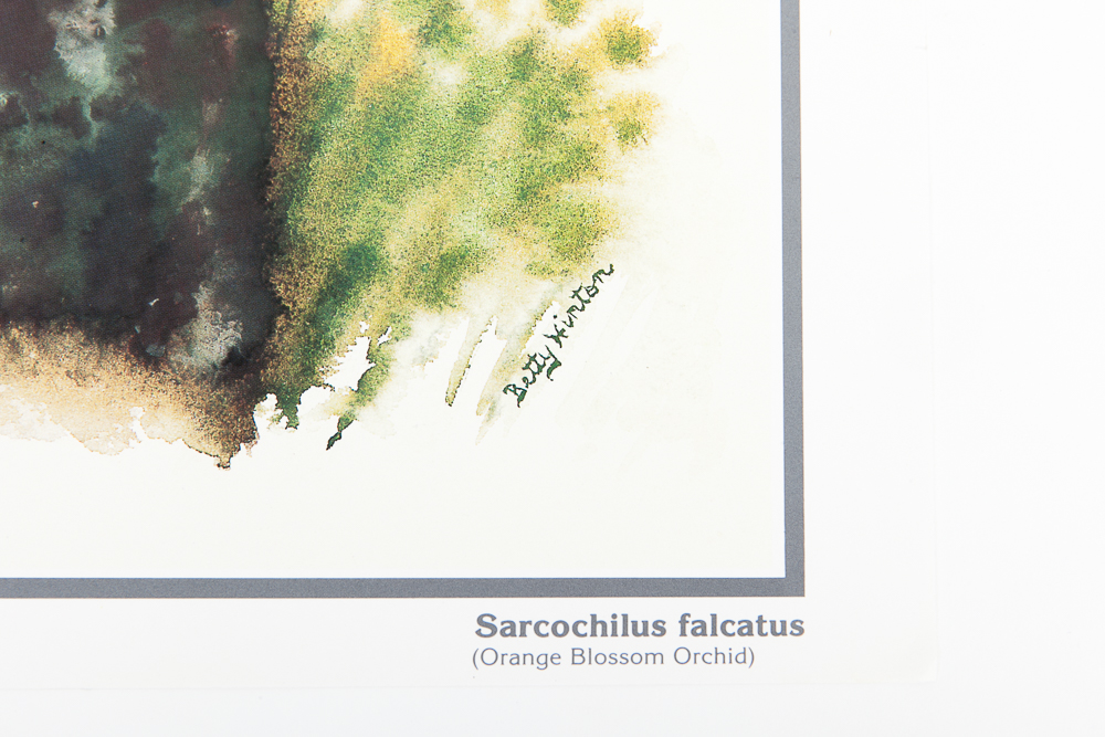 Six Floral Offset Lithograph Prints by Betty Hinton