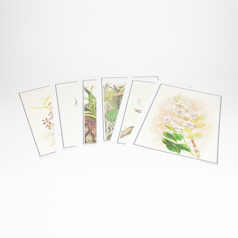 Six Floral Offset Lithograph Prints by Betty Hinton