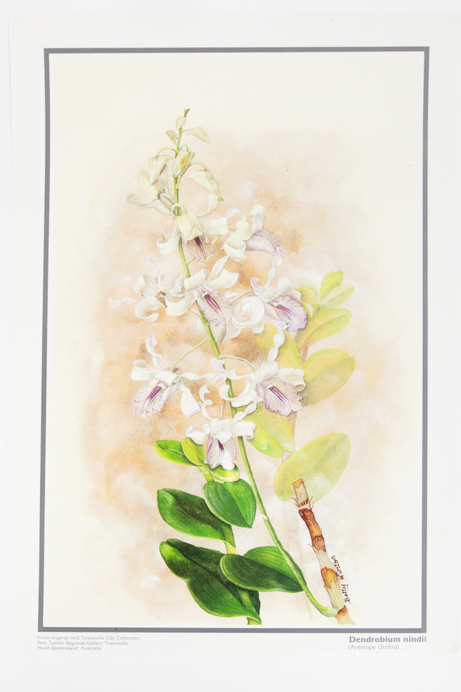 Six Floral Offset Lithograph Prints by Betty Hinton