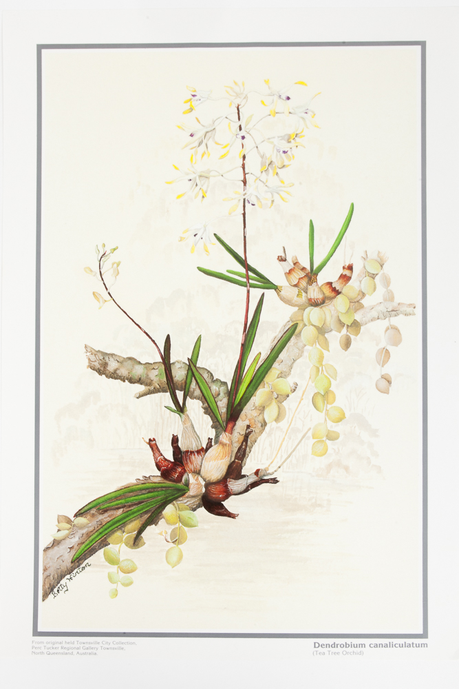 Six Floral Offset Lithograph Prints by Betty Hinton