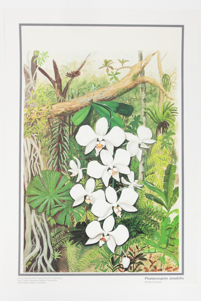 Six Floral Offset Lithograph Prints by Betty Hinton