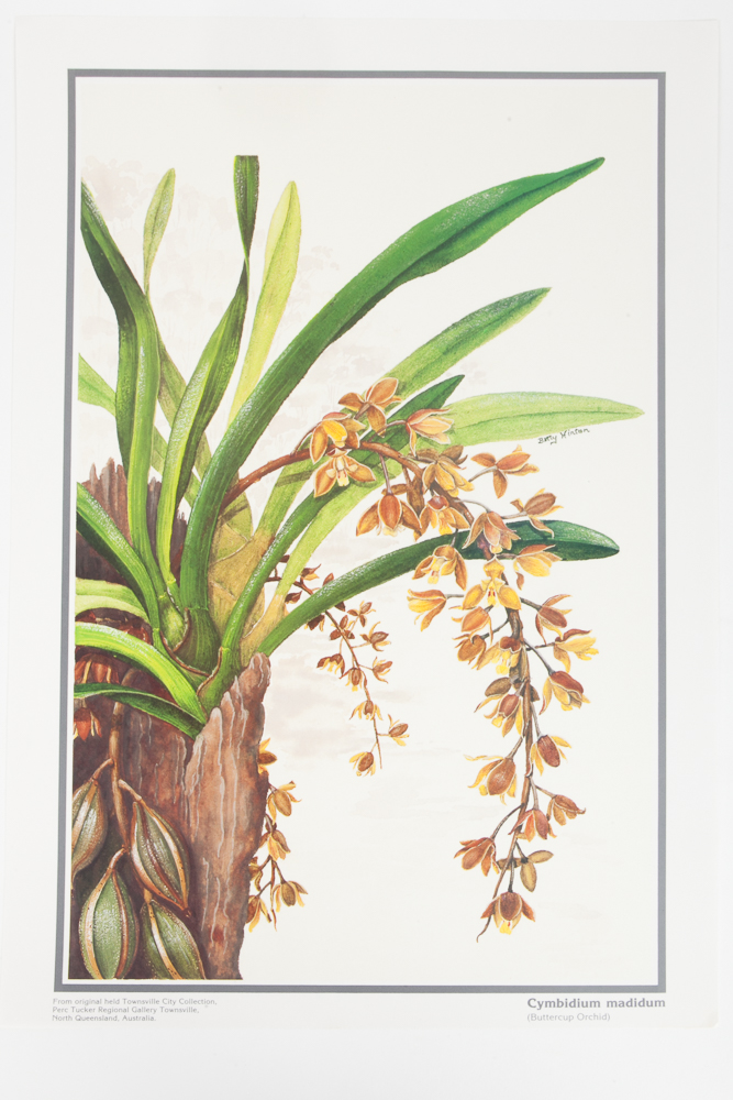 Six Floral Offset Lithograph Prints by Betty Hinton