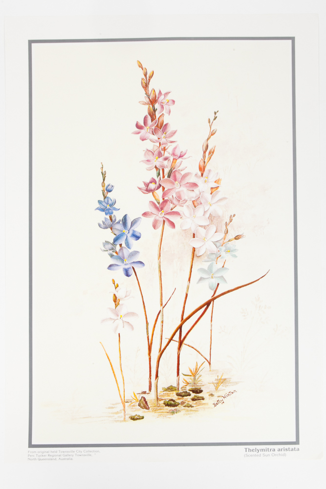 Six Floral Offset Lithograph Prints by Betty Hinton