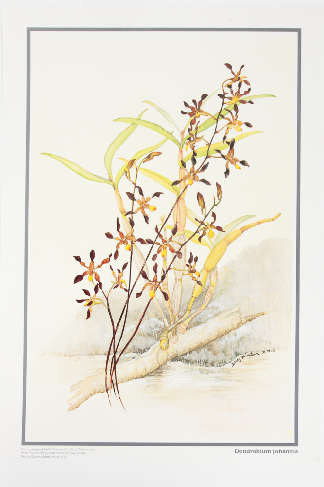 Six Floral Offset Lithograph Prints by Betty Hinton