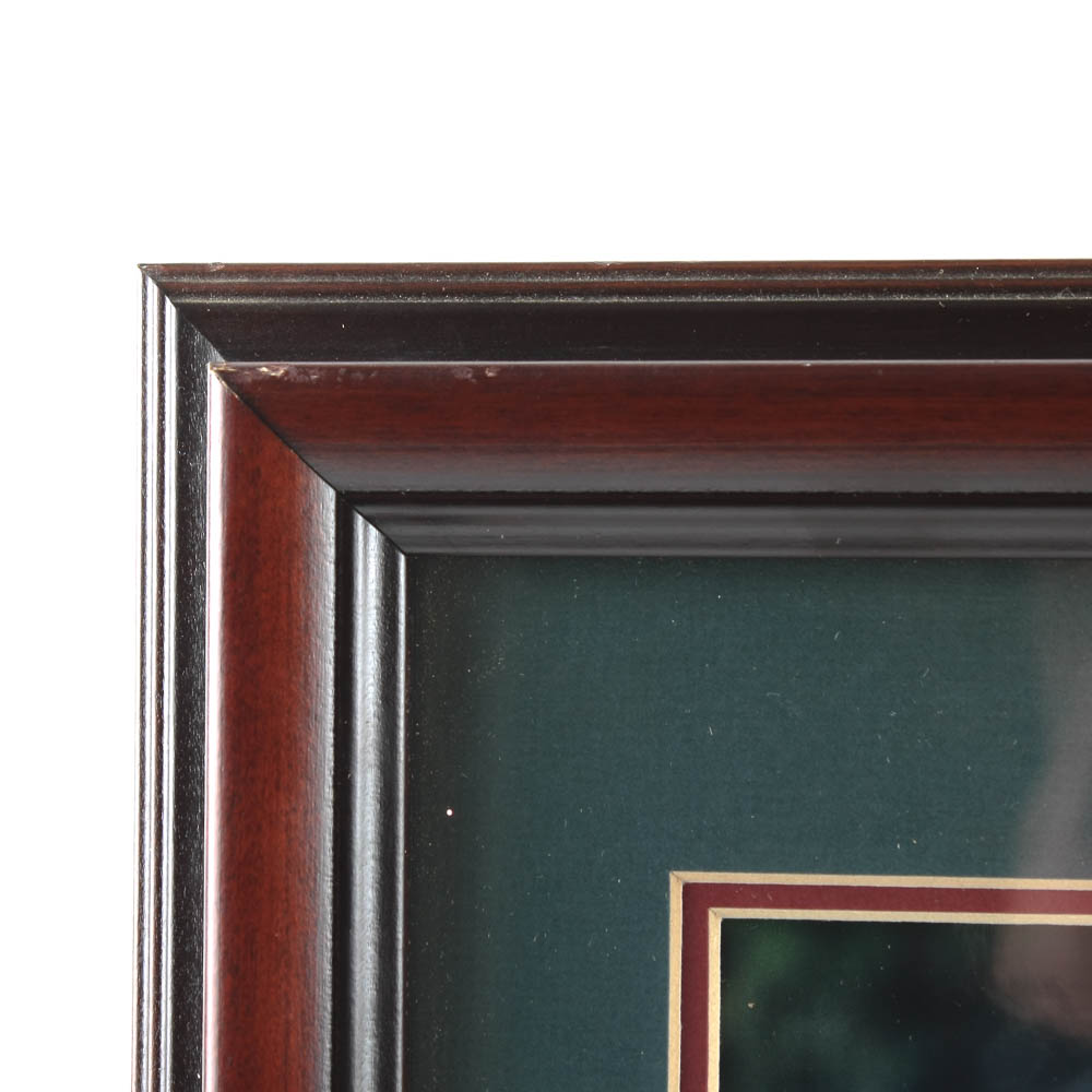 Framed Photograph of Tiger Woods