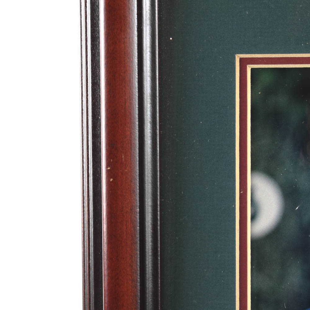 Framed Photograph of Tiger Woods