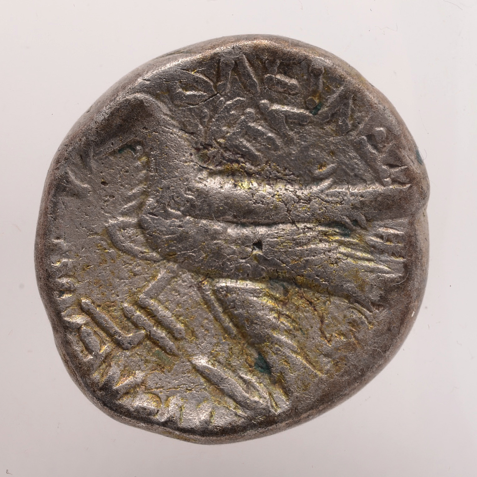 Ancient Egypt Silver Tetradrachm