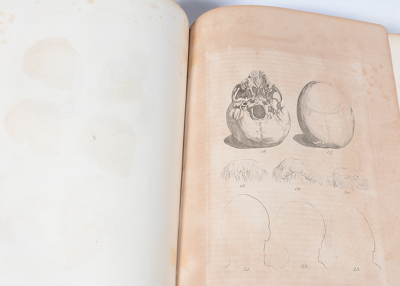 1841 "La Physiognomonie" by Author Johann Caspar Lavater