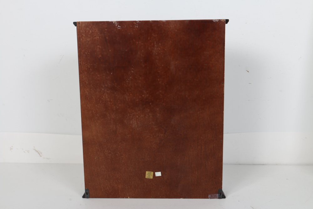 The Bombay Company Hanging Display Case