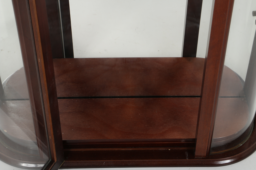 The Bombay Company Hanging Display Case