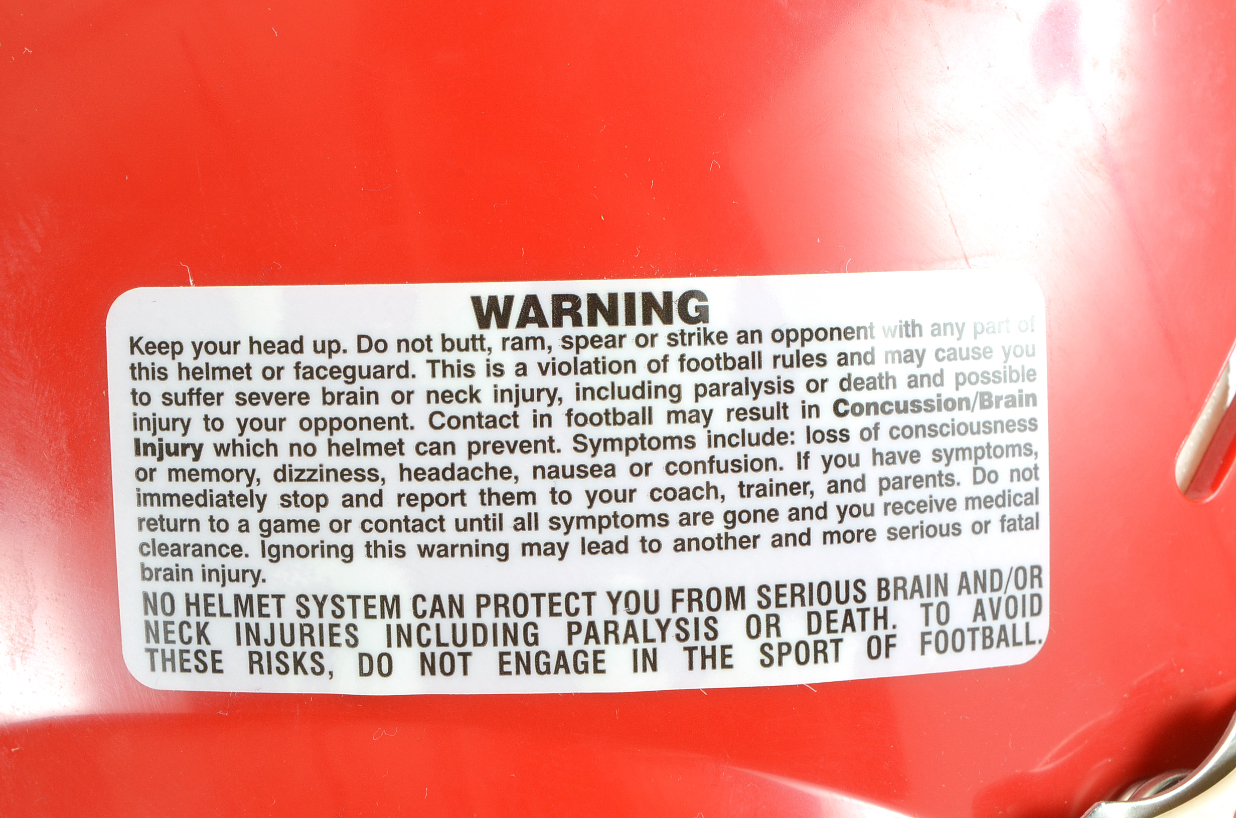 Ohio State "Brutus" Mascot Game Football Helmet