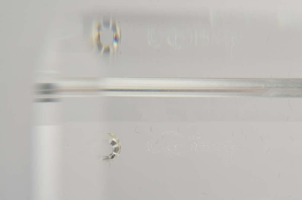 Collection of Glass Travel Souvenirs