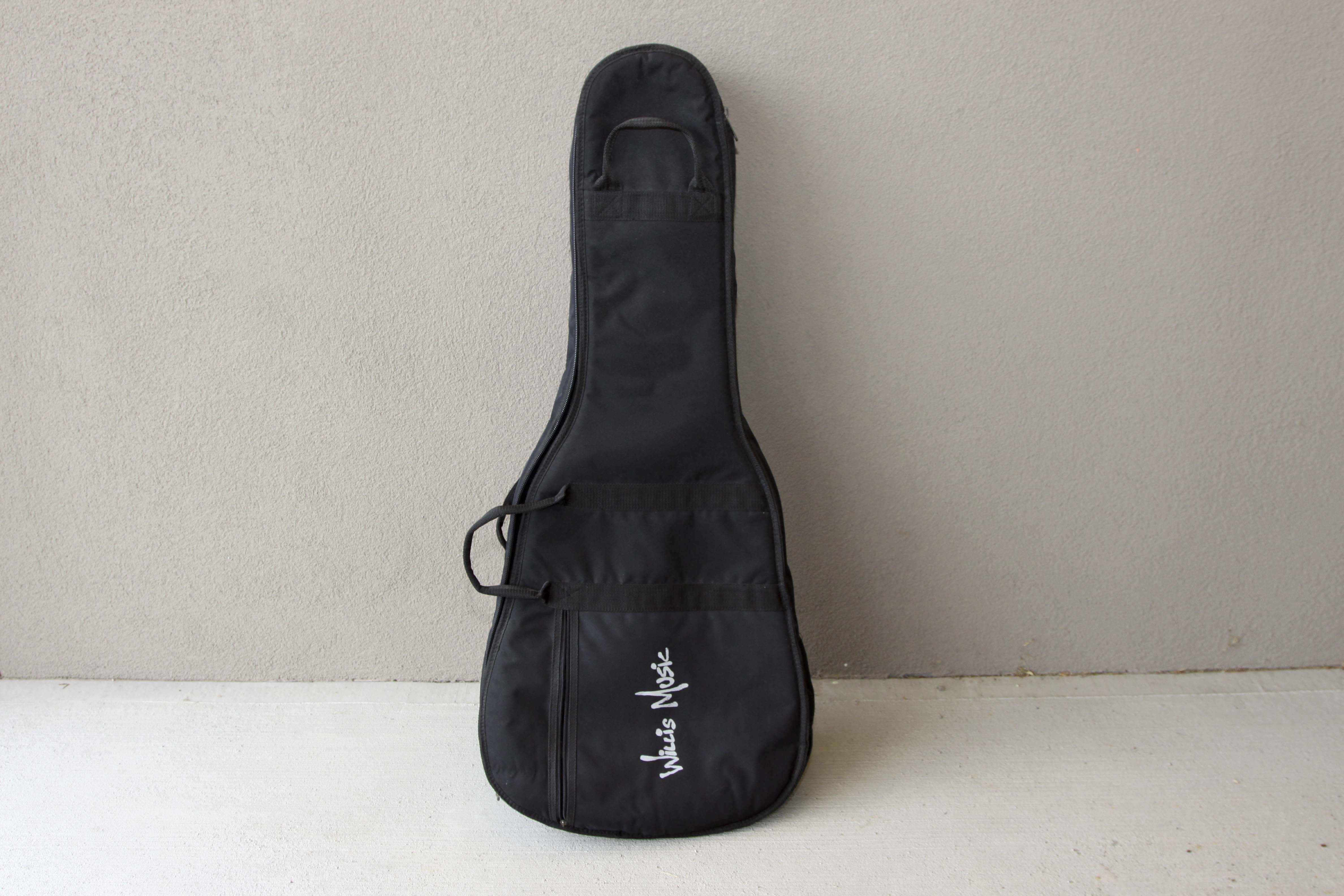 Art & Lutherie Blue Acoustic Guitar With Gigbag