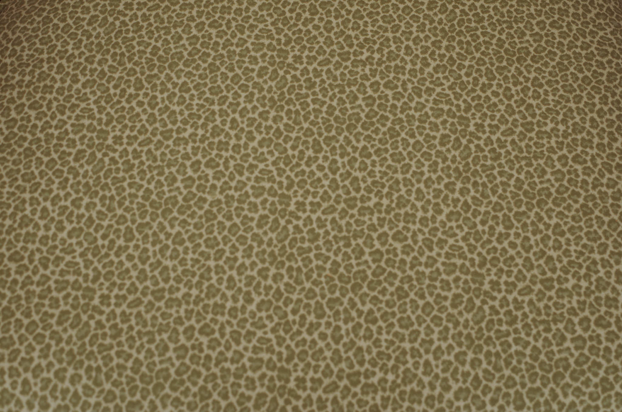 Caned Chairs with Glass Table