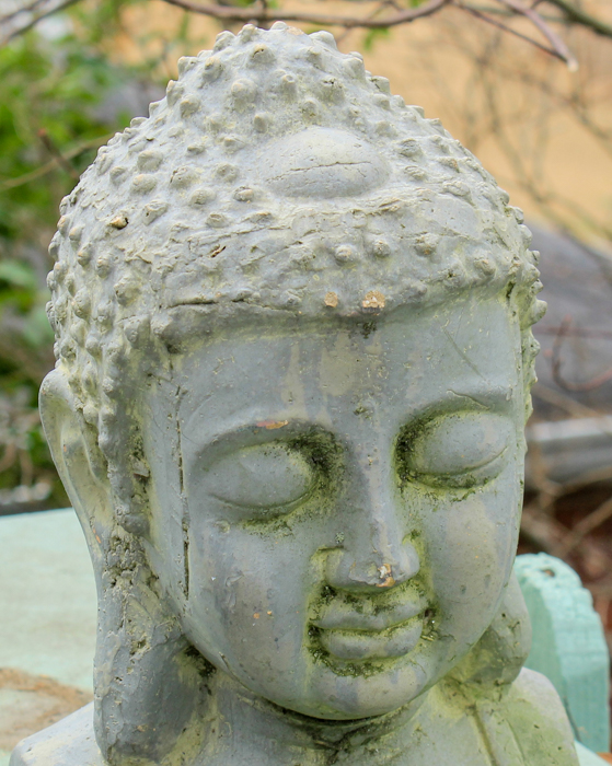 Budda Head Statue