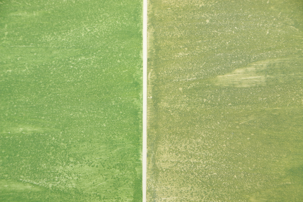 Tom Levine Limited Edition Etching "Hague"