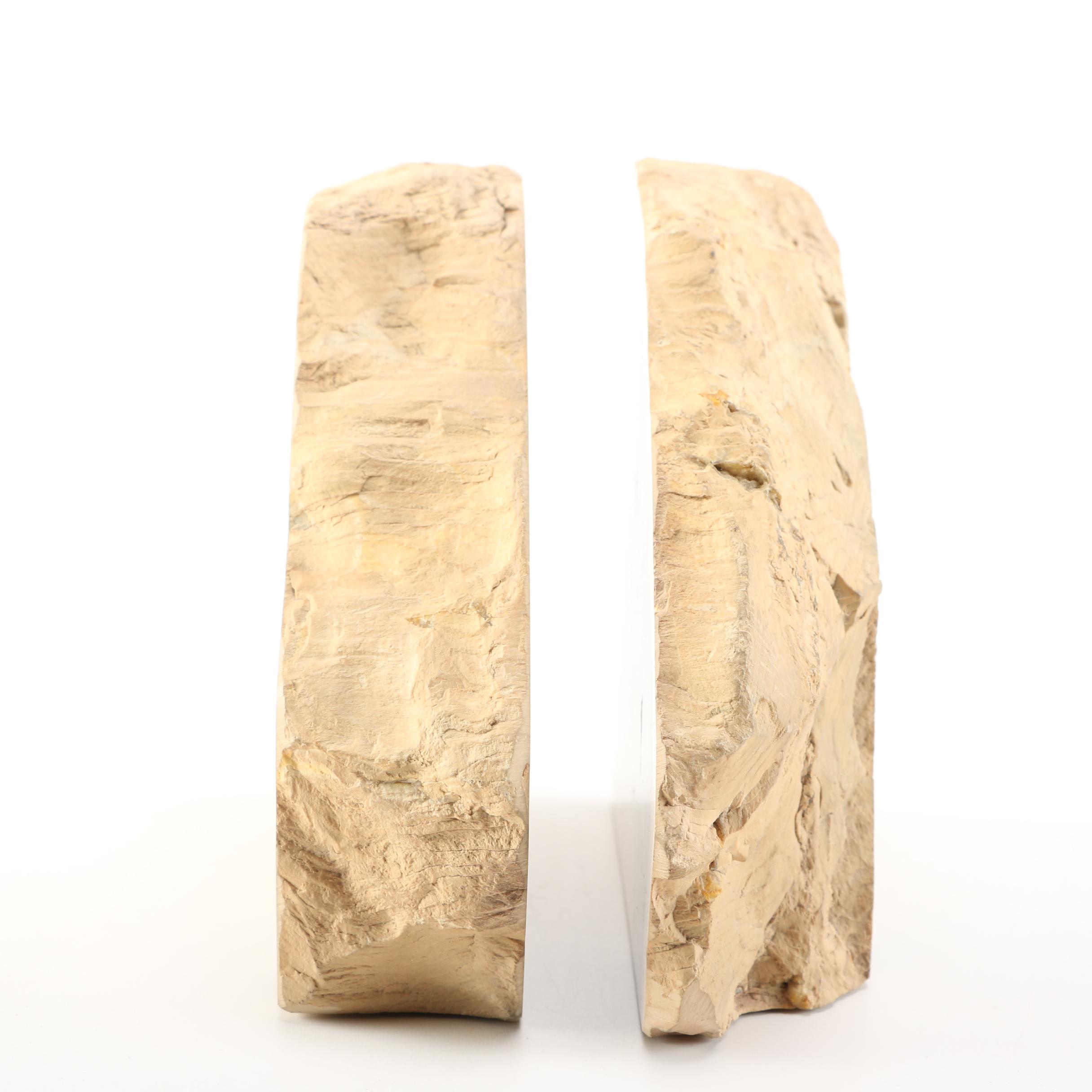 Petrified Wood Bookends