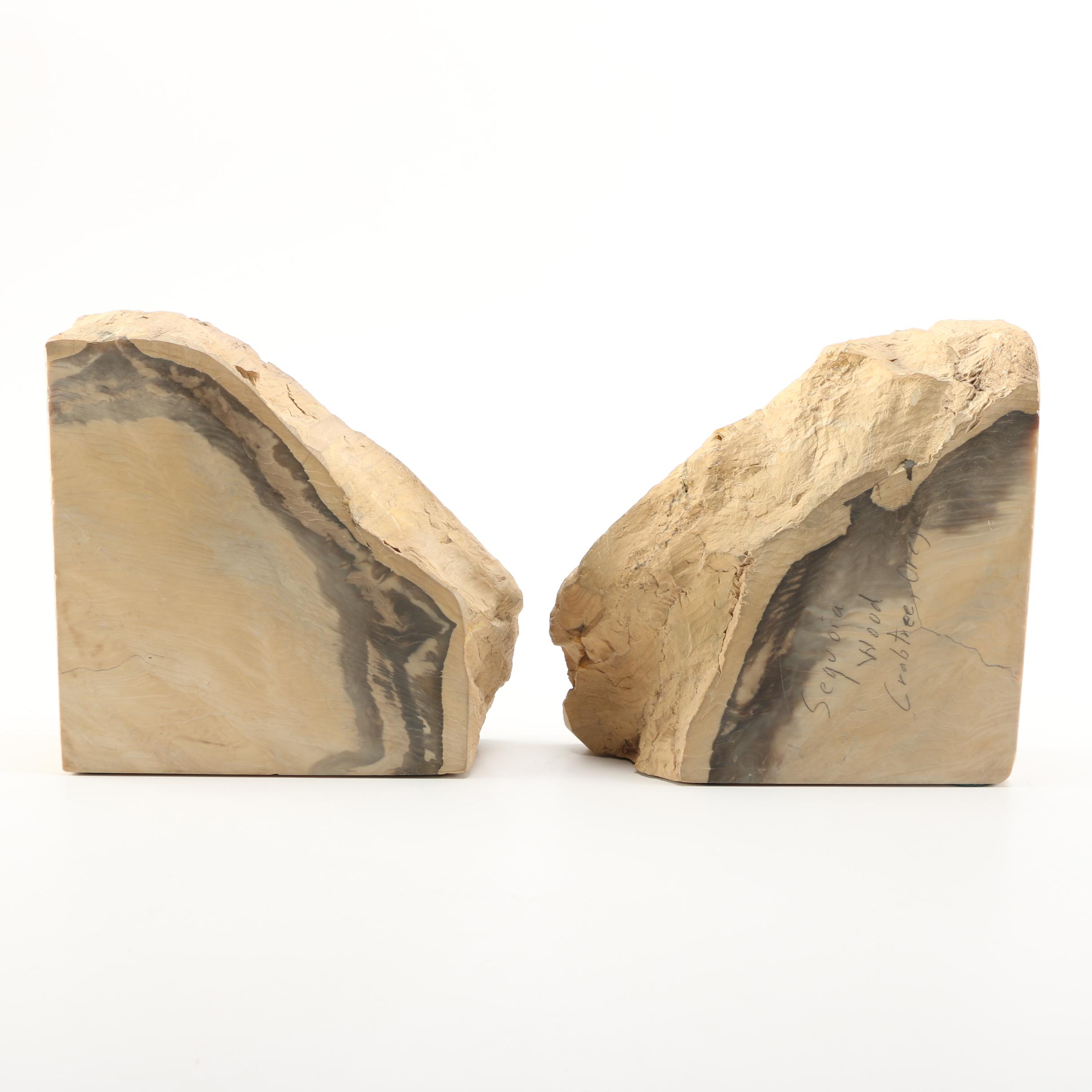 Petrified Wood Bookends