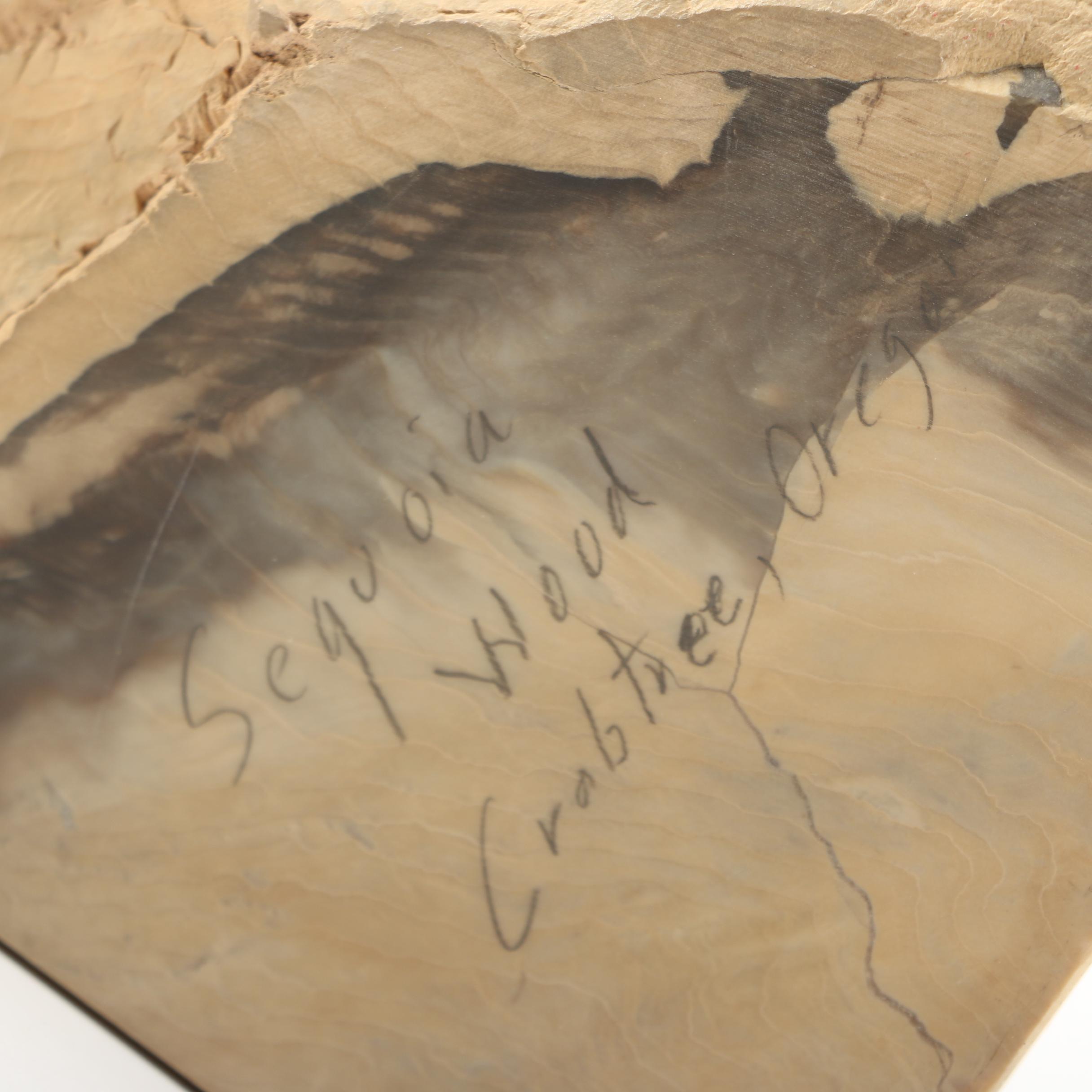 Petrified Wood Bookends