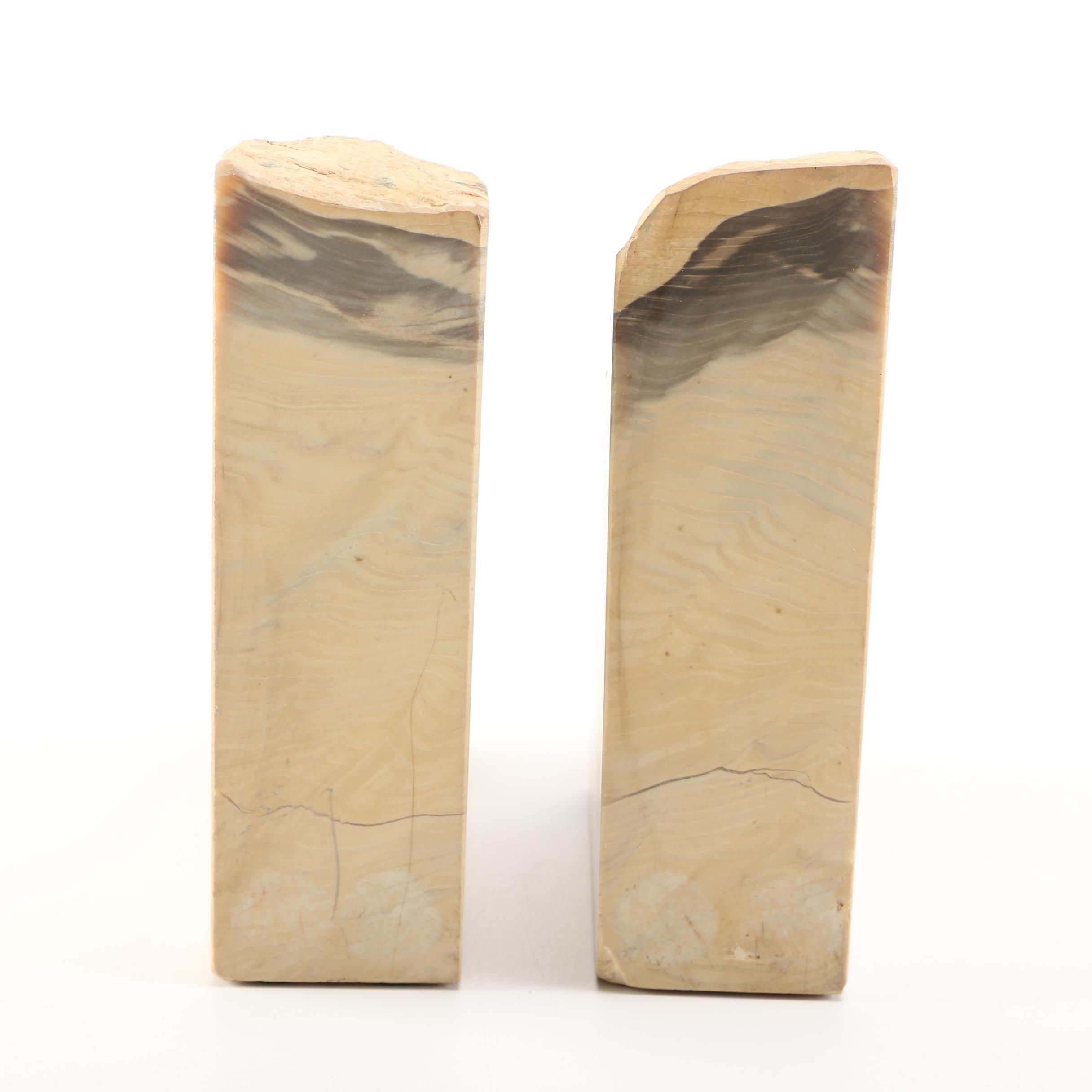 Petrified Wood Bookends