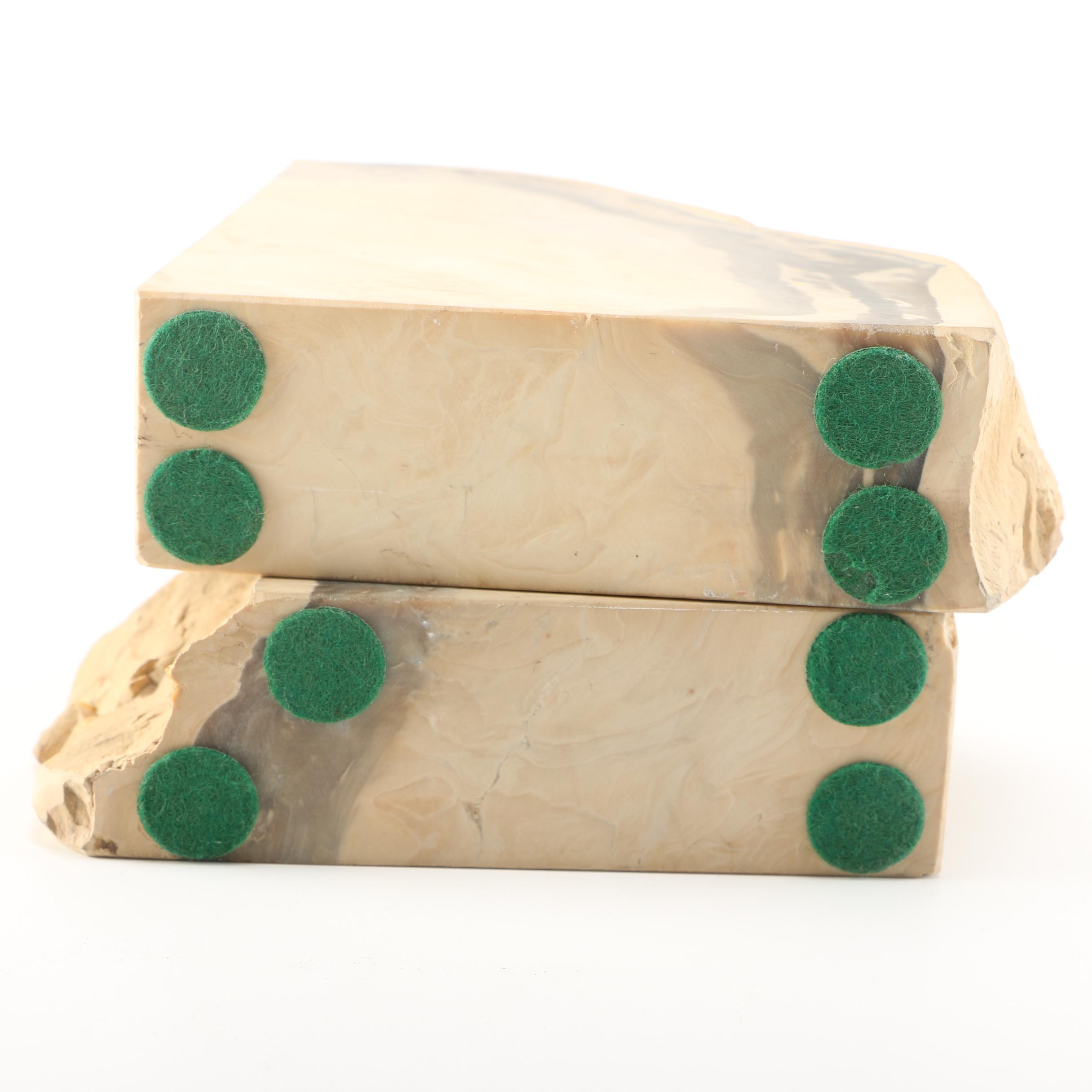 Petrified Wood Bookends