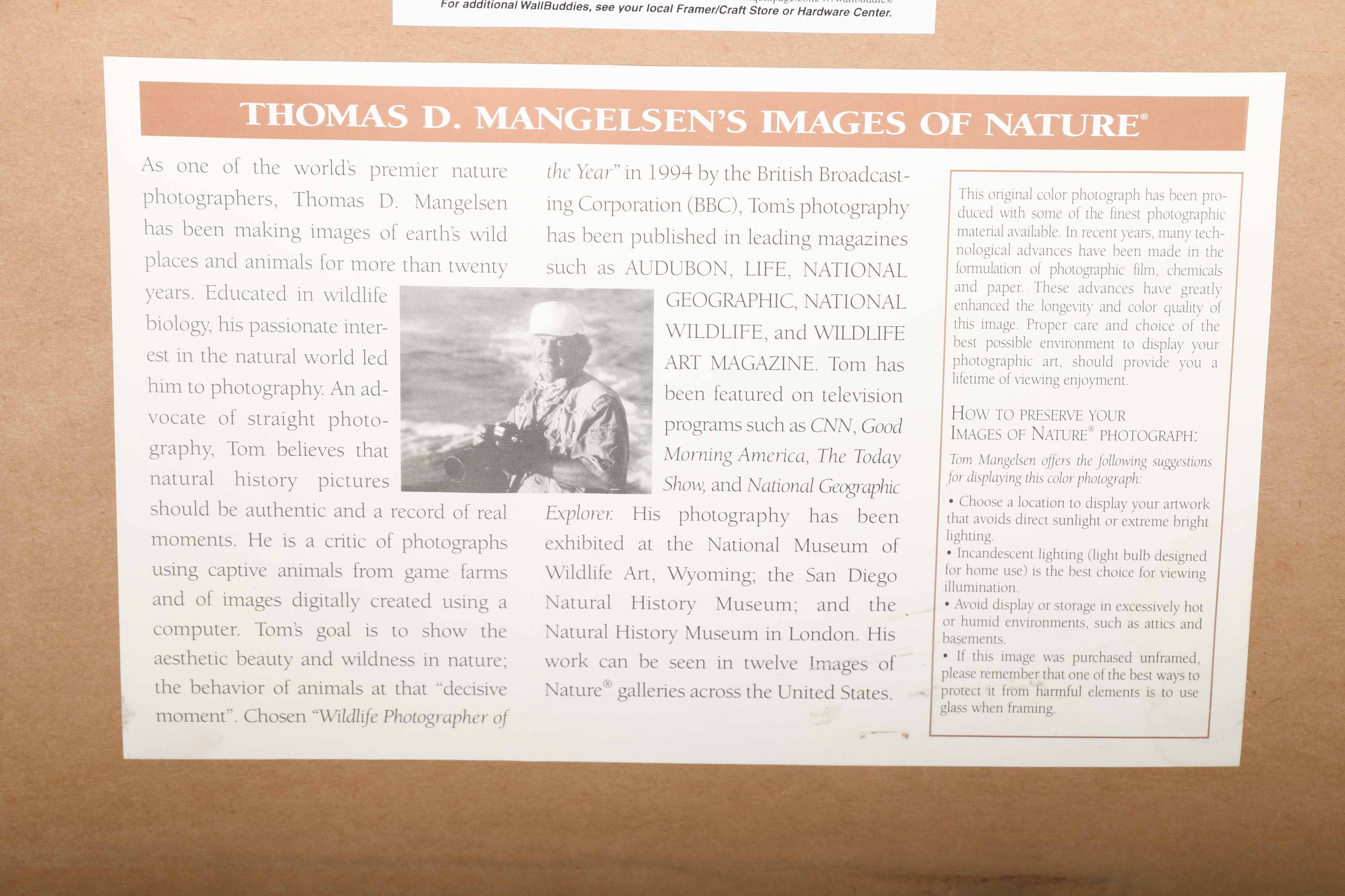 Thomas D. Magelsen "Reflections Of Denali" 1988 Signed LImited Edition Chromogenic Print