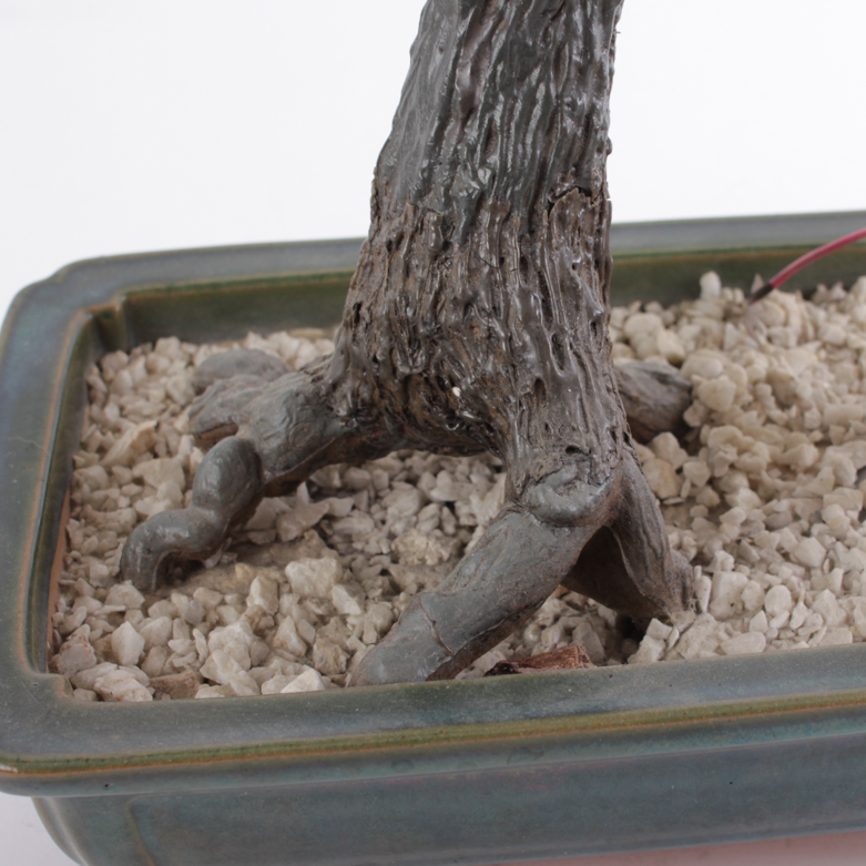 Faux Bonsai Tree