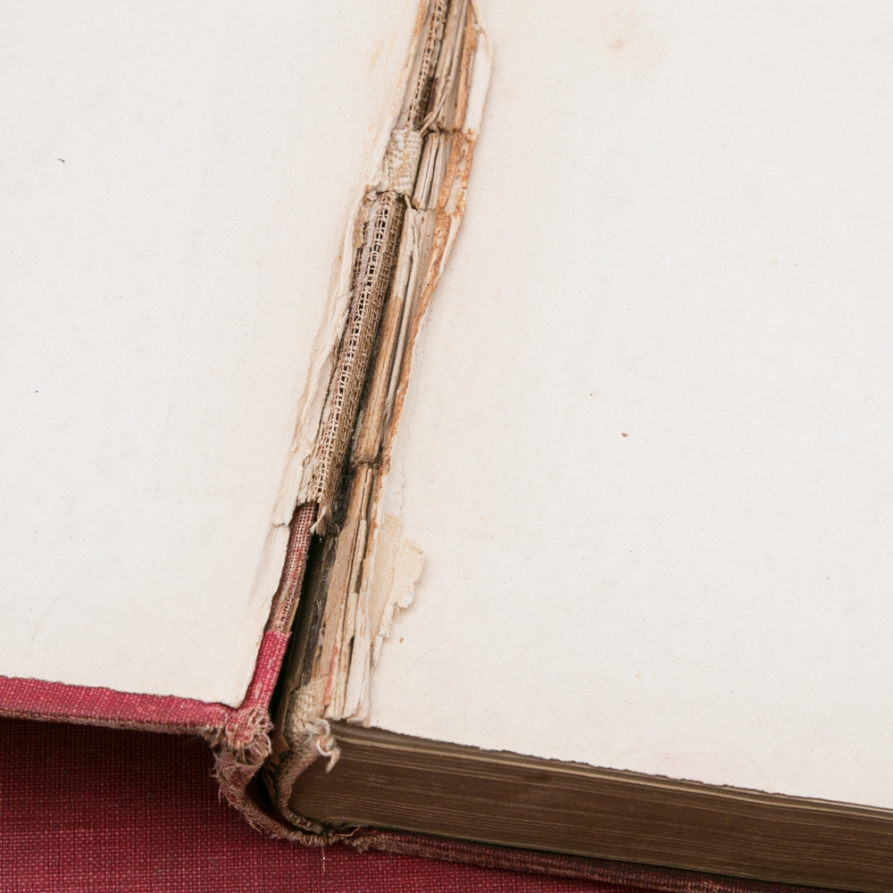 Antique Collection of Charles Dana Gibson Books