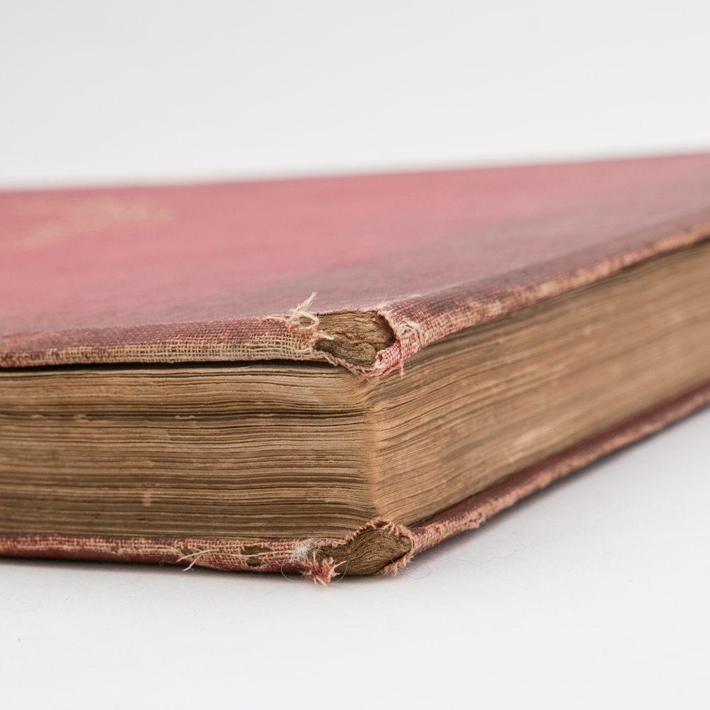 Antique Collection of Charles Dana Gibson Books