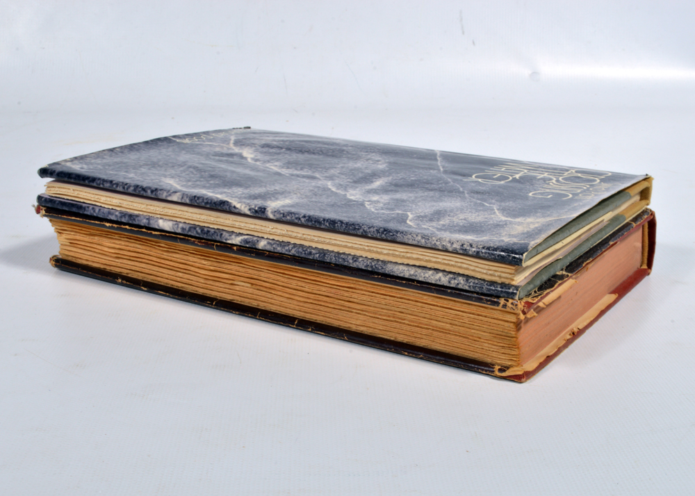 Pair of Sylvia Plath Books