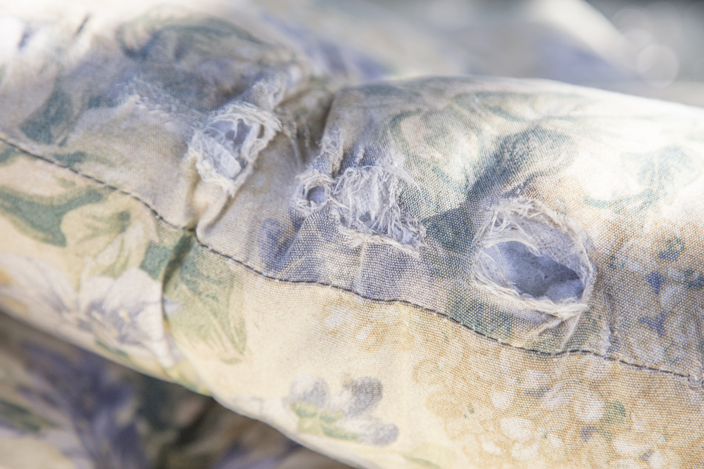 Lloyd Flanders White Wicker Love Seat with Cushions