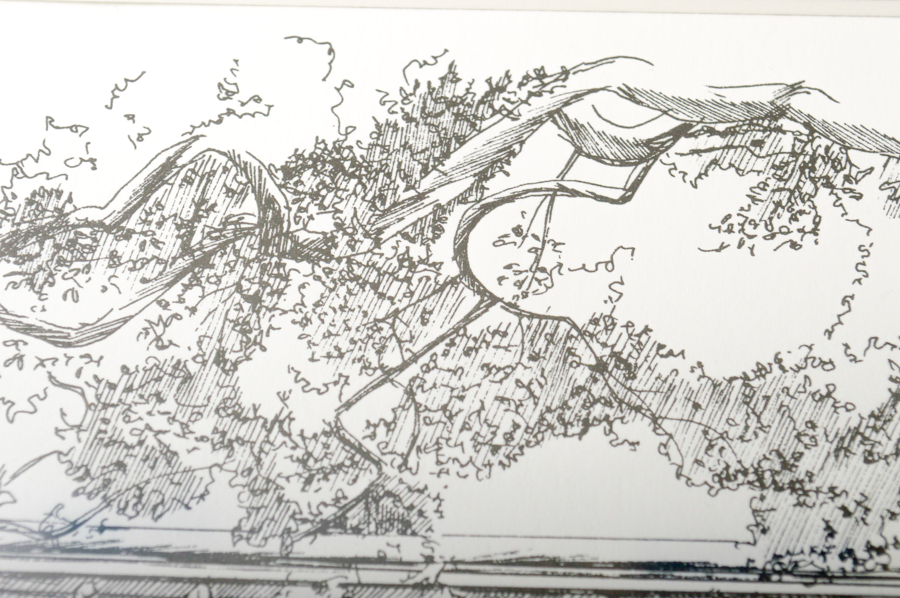 Pamela Lee Print “Andrew Low House”