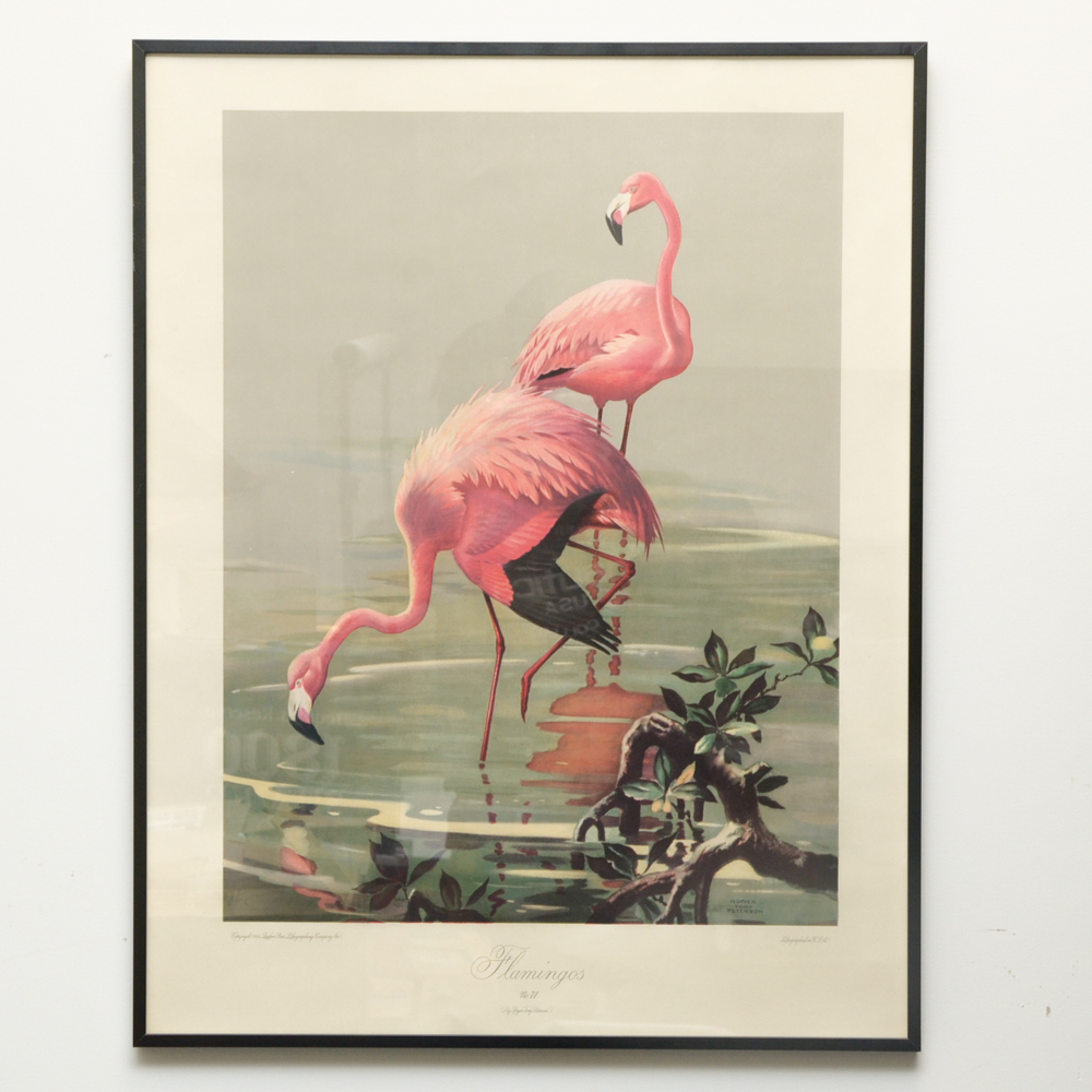 After Roger Tory Peterson Offset Lithographs "Flamingos"