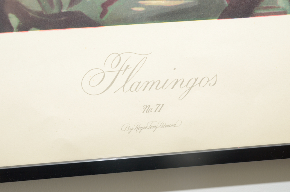 After Roger Tory Peterson Offset Lithographs "Flamingos"