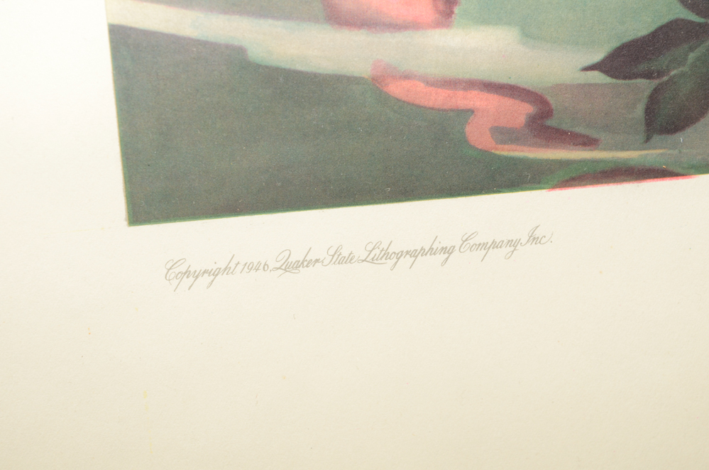 After Roger Tory Peterson Offset Lithographs "Flamingos"