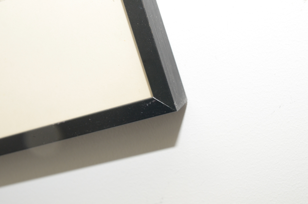 After Roger Tory Peterson Offset Lithographs "Flamingos"