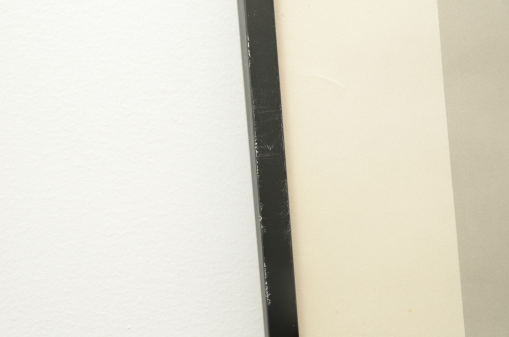 After Roger Tory Peterson Offset Lithographs "Flamingos"