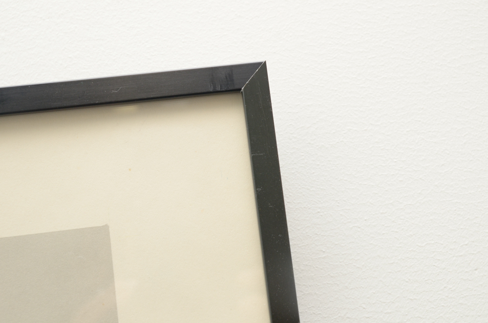 After Roger Tory Peterson Offset Lithographs "Flamingos"