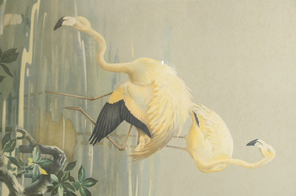 After Roger Tory Peterson Offset Lithographs "Flamingos"