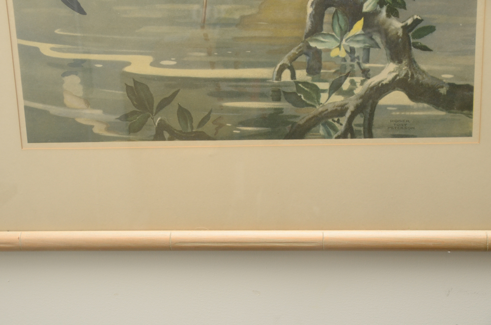 After Roger Tory Peterson Offset Lithographs "Flamingos"