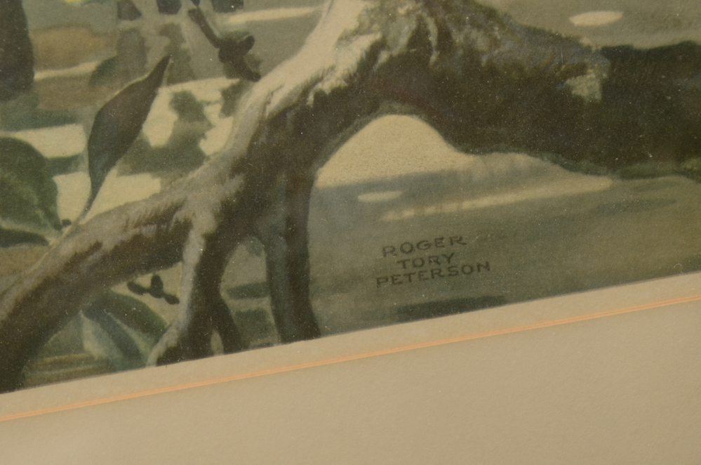 After Roger Tory Peterson Offset Lithographs "Flamingos"