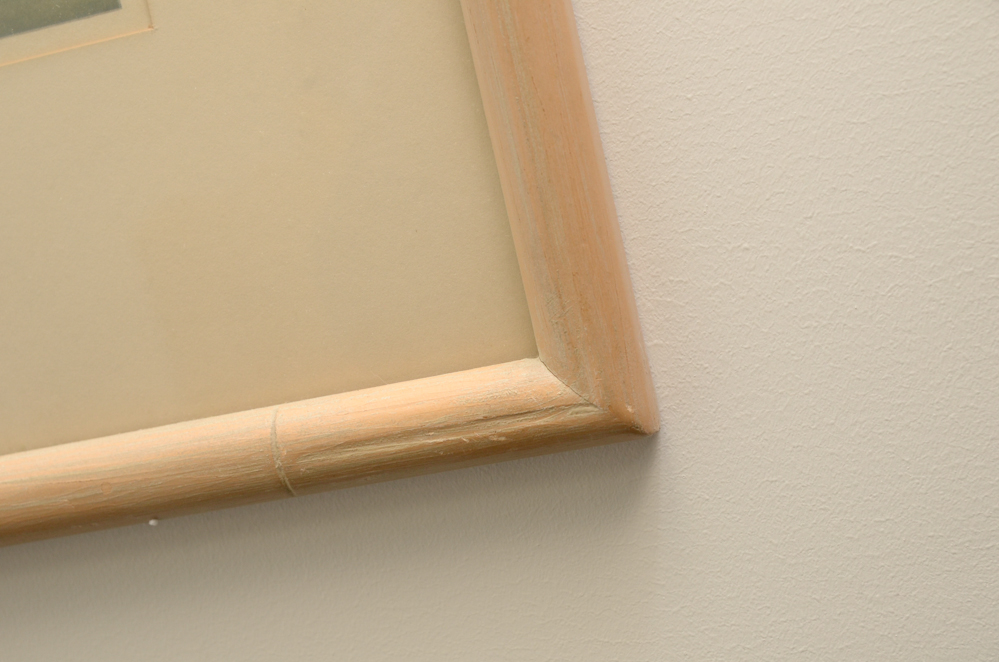 After Roger Tory Peterson Offset Lithographs "Flamingos"