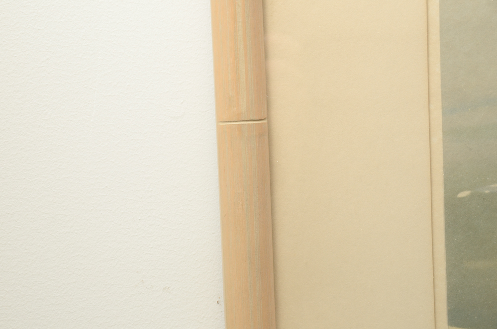 After Roger Tory Peterson Offset Lithographs "Flamingos"