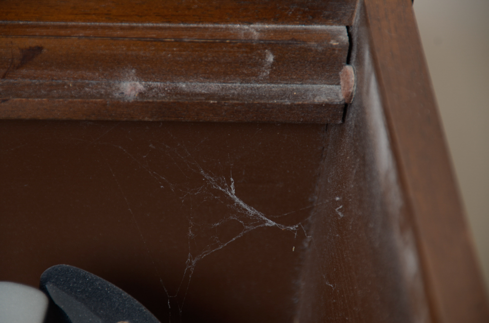 Mid-Century Magnavox Astro-Sonic Stereo Console