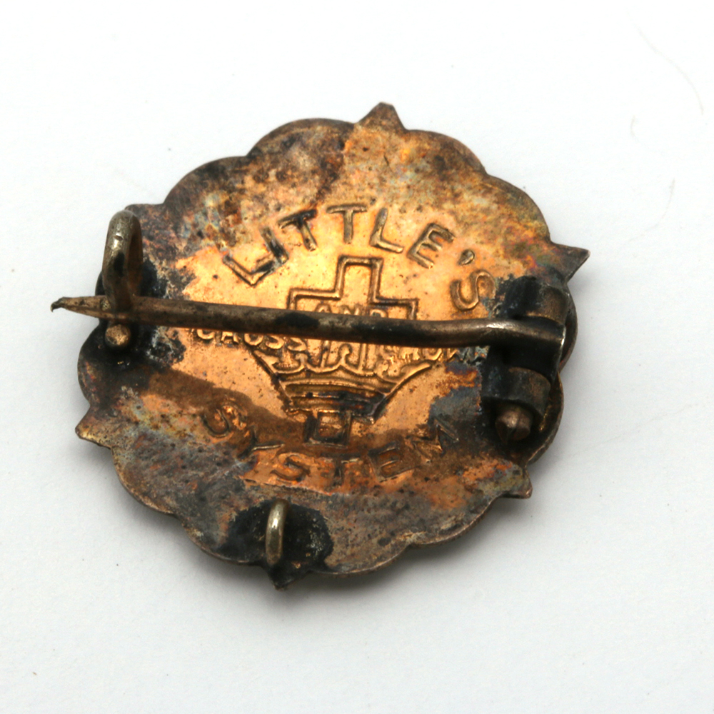 Assorted Costume Pins